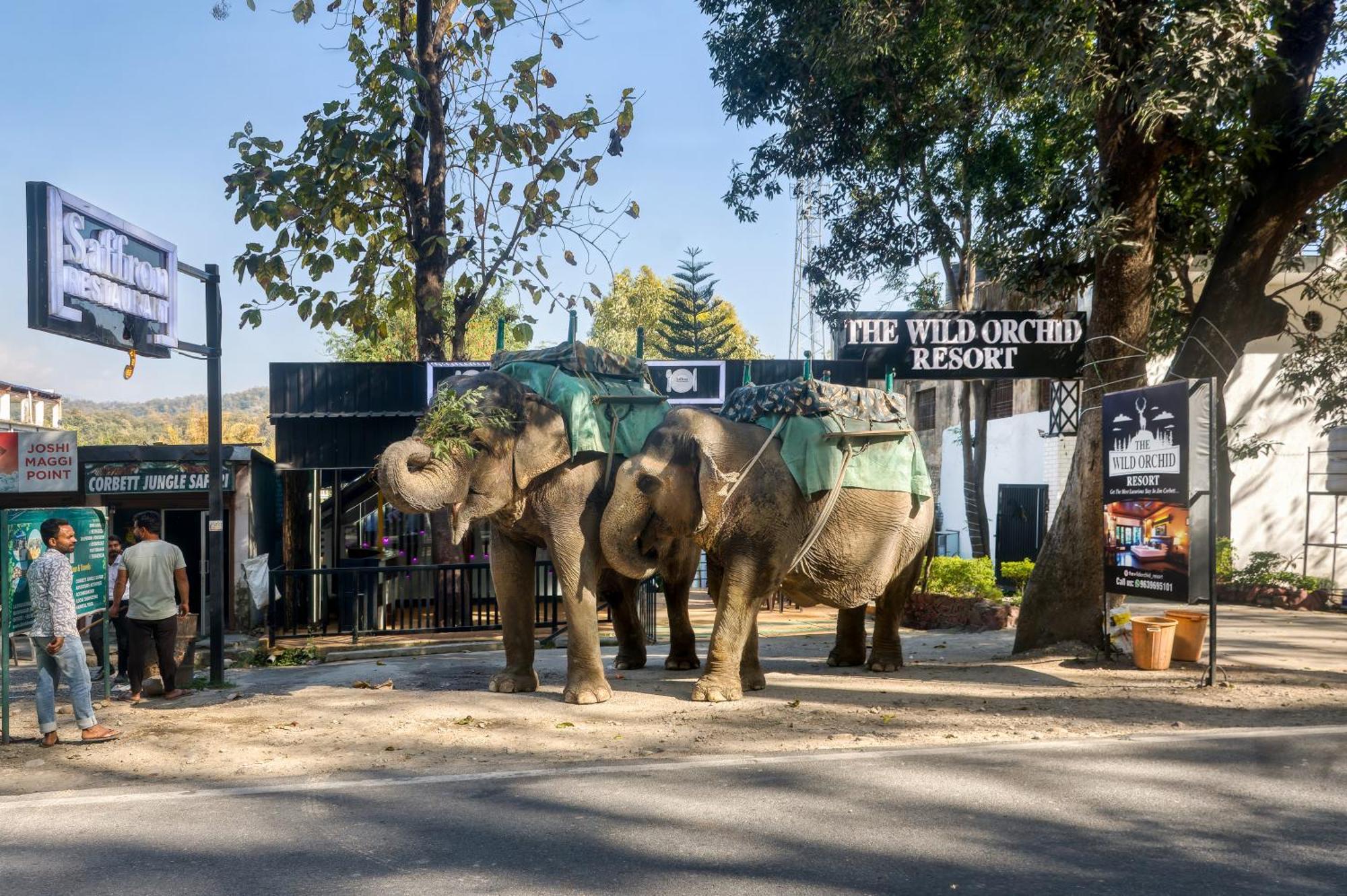 The Wild Orchid Resort Corbett Rāmnagar Exterior photo